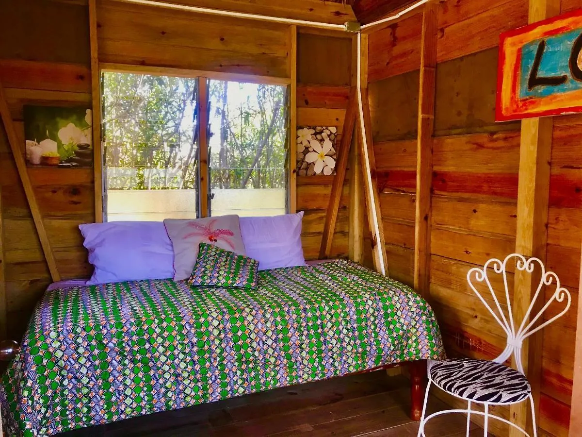 Moringa Ingadi Villa Treasure Beach