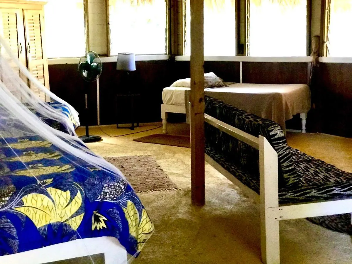 Orman Evi Moringa Ingadi Villa Treasure Beach