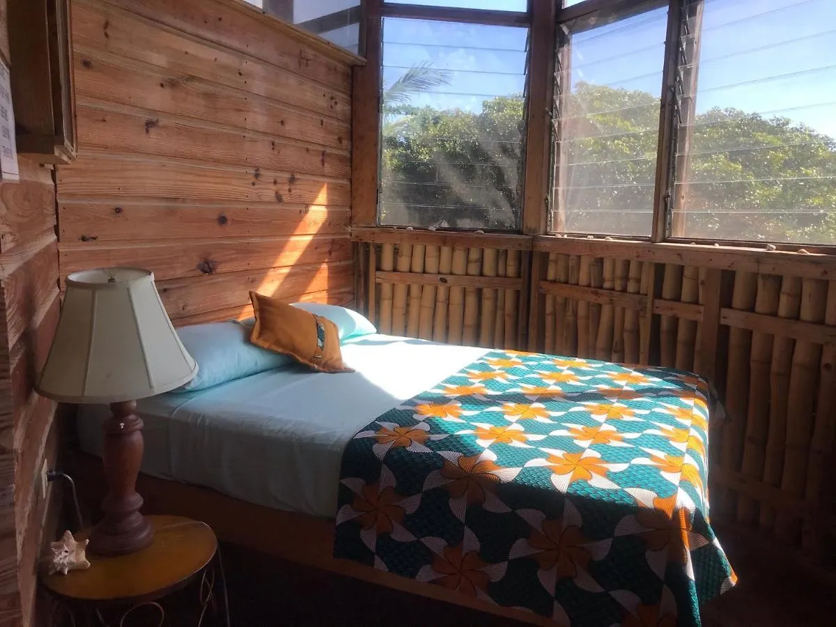 Moringa Ingadi Villa Treasure Beach Orman Evi