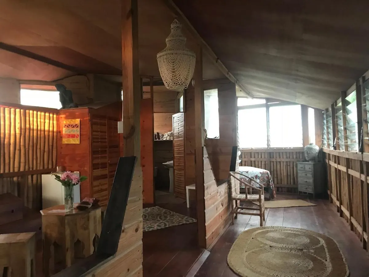 Moringa Ingadi Villa Treasure Beach