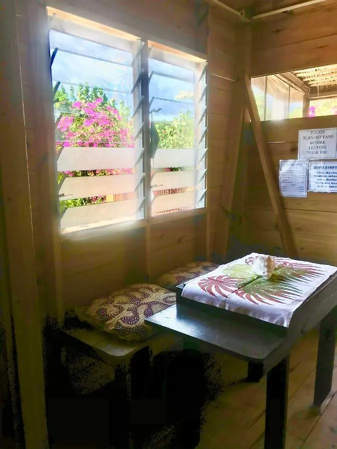 Moringa Ingadi Villa Treasure Beach Jamaica