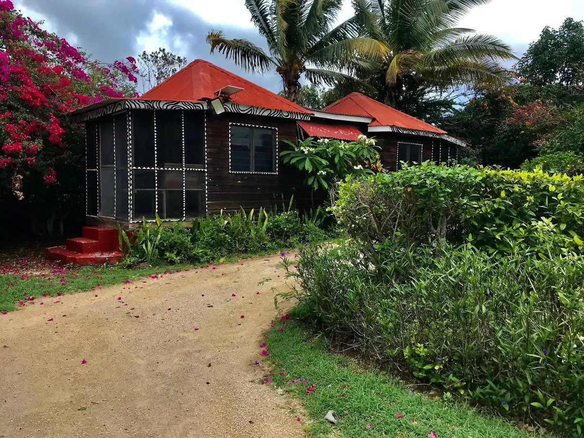 Lodge Moringa Ingadi Villa Treasure Beach