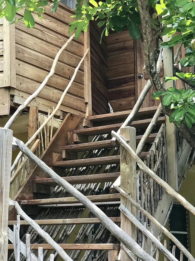 Moringa Ingadi Villa Treasure Beach